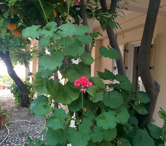 Varagoulis Giannis & Lenas Apartman Paramónasz