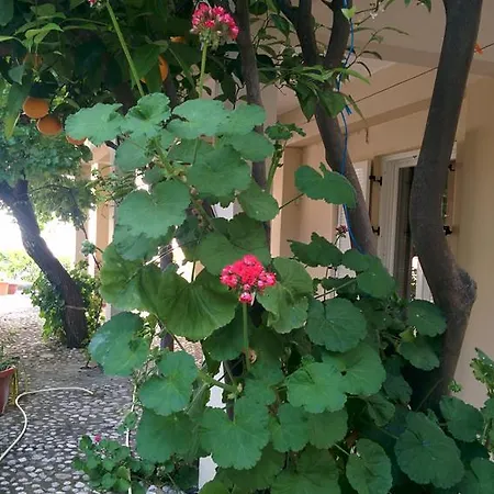 βαραγγούλης γιάννης&λένα Διαμέρισμα Παραμόνας