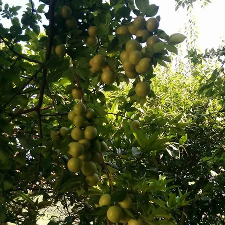 βαραγγούλης γιάννης&λένα Διαμέρισμα *